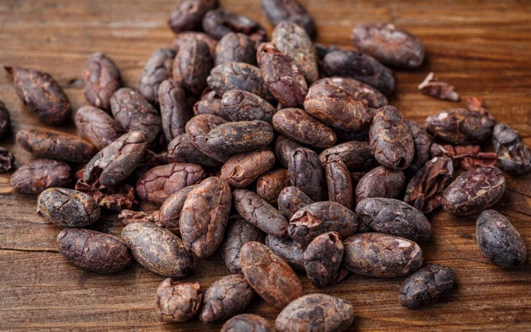 El Poder del Cacao